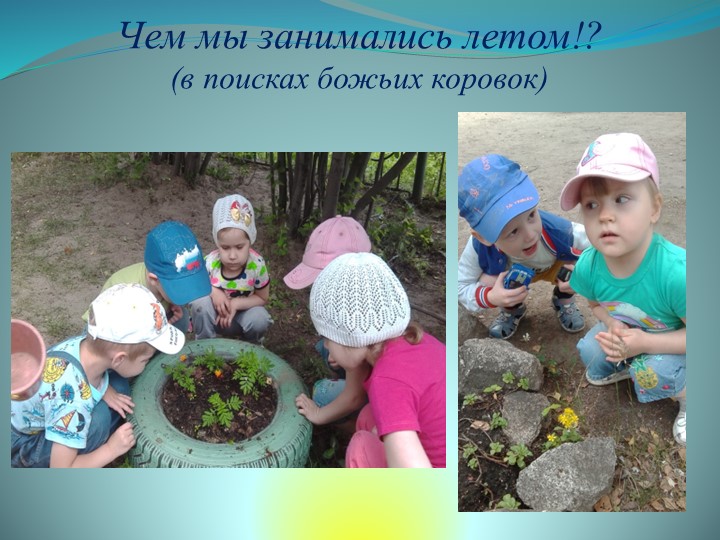 Презентация средней группы на тему: " Наша группа".