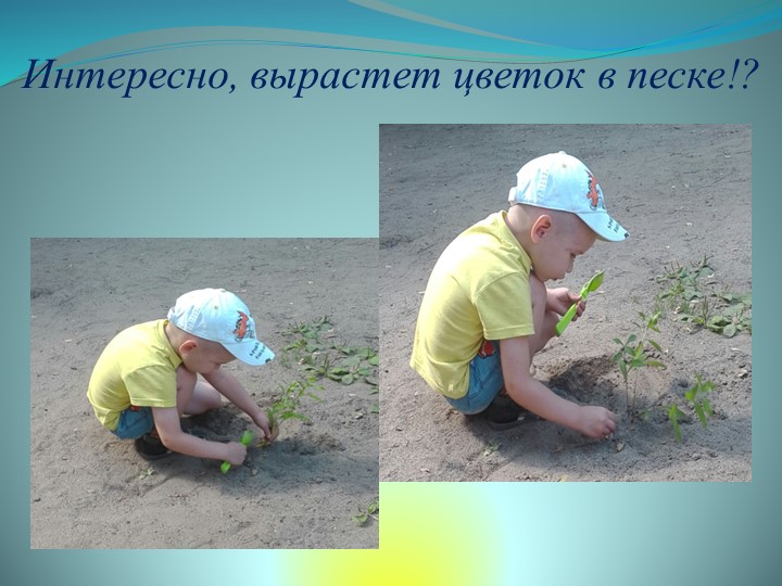 Презентация средней группы на тему: " Наша группа".