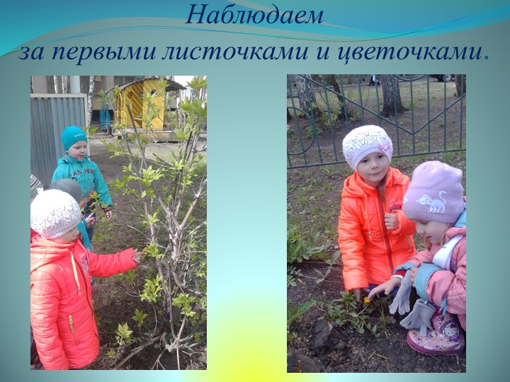 Презентация средней группы на тему: " Наша группа".
