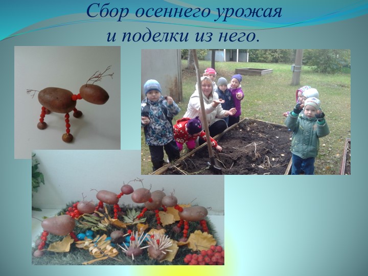 Презентация средней группы на тему: " Наша группа".