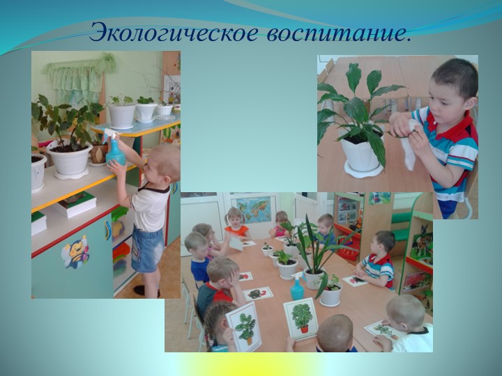 Презентация средней группы на тему: " Наша группа".