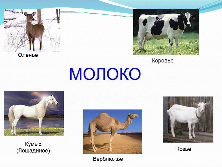 Исследовательско-творческий проект "Пейте, дети,молоко,будете здоровы".