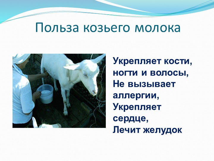 Исследовательско-творческий проект "Пейте, дети,молоко,будете здоровы".
