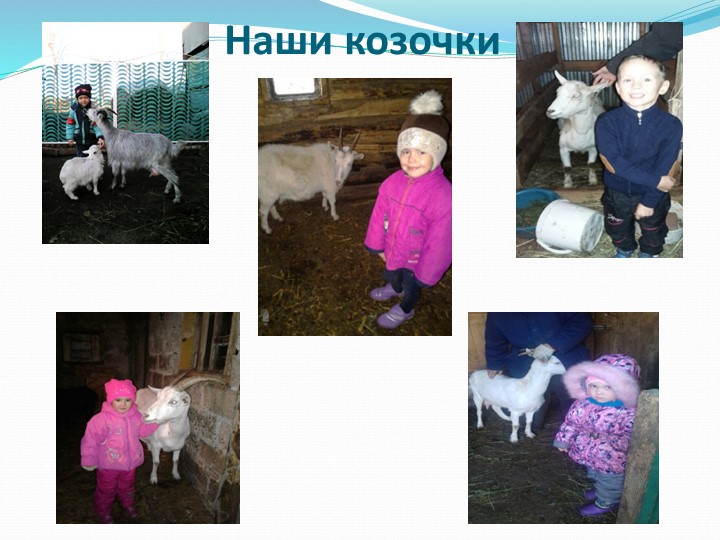 Исследовательско-творческий проект "Пейте, дети,молоко,будете здоровы".
