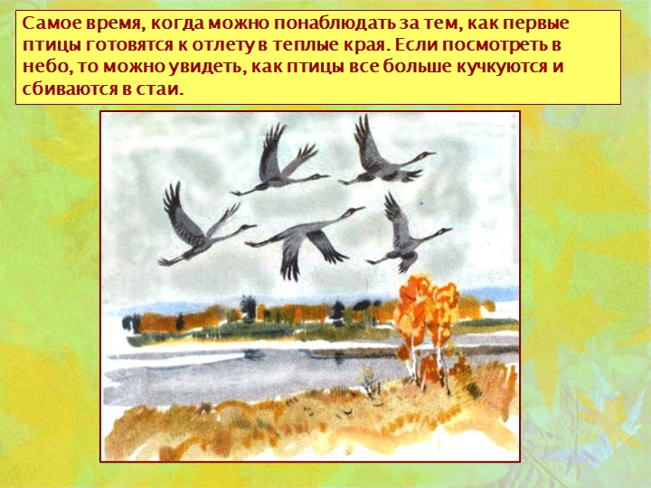 Презентация для детей старшей и подготовительной группы "Золотая осень"