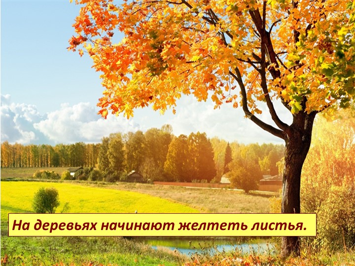 Презентация для детей старшей и подготовительной группы "Золотая осень"