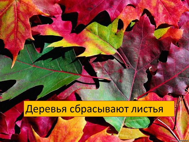 Презентация для детей старшей и подготовительной группы "Золотая осень"