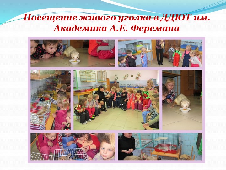 Презентация "Организация работы в ДОУ по социально-личностному воспитанию детей дошкольного возраста"