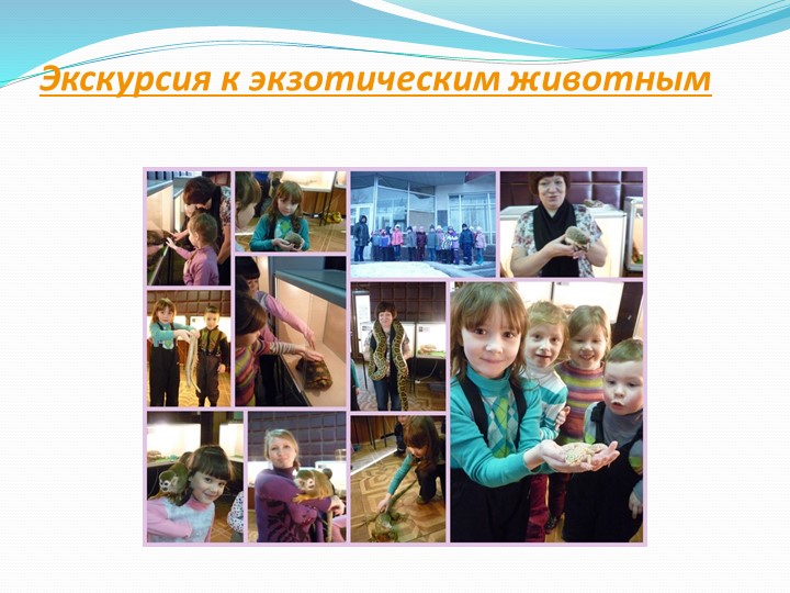 Презентация "Организация работы в ДОУ по социально-личностному воспитанию детей дошкольного возраста"