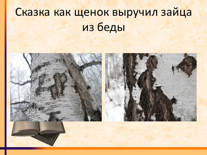 Конспект занятия для подготовительной группы ДОУ