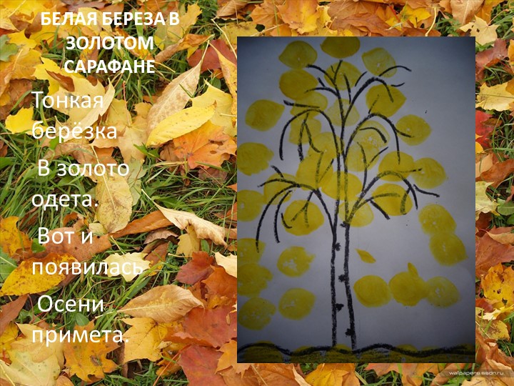 Презентация нетрадиционной техники в изо.деятельности в средней группе : "Белая береза в золотом сарафане".