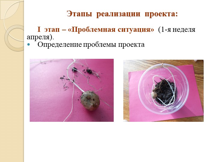 Презентация проекта для детей подготовительной группы по формированию экологической культуры и трудового воспитания