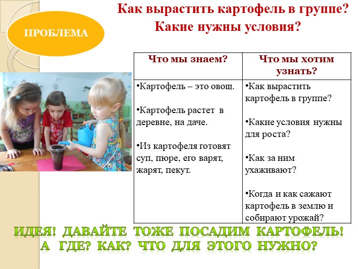 Презентация проекта для детей подготовительной группы по формированию экологической культуры и трудового воспитания