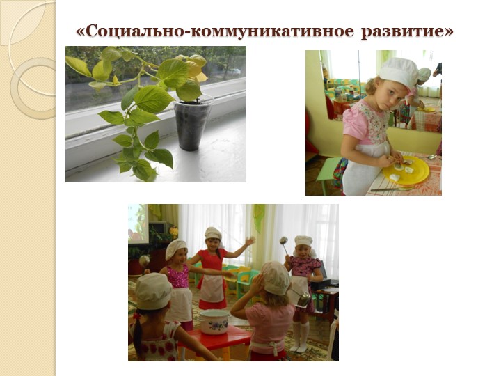 Презентация проекта для детей подготовительной группы по формированию экологической культуры и трудового воспитания