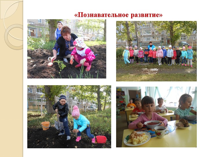 Презентация проекта для детей подготовительной группы по формированию экологической культуры и трудового воспитания