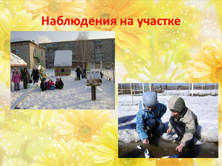 Презентация для воспитателей по экологическому воспитанию дошкольников