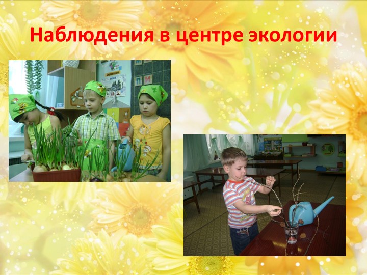 Презентация для воспитателей по экологическому воспитанию дошкольников