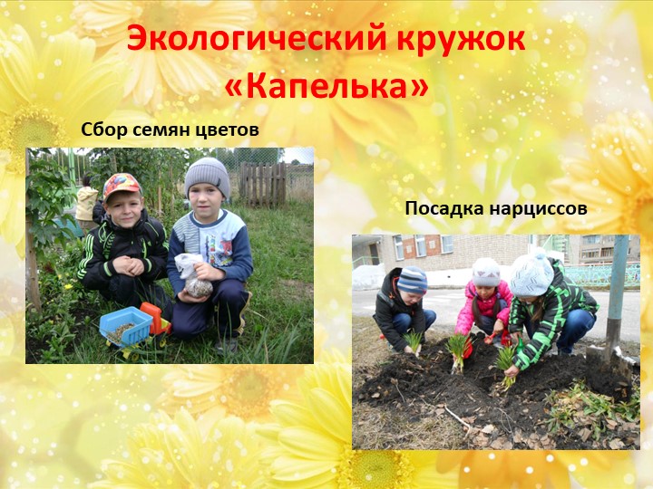 Презентация для воспитателей по экологическому воспитанию дошкольников