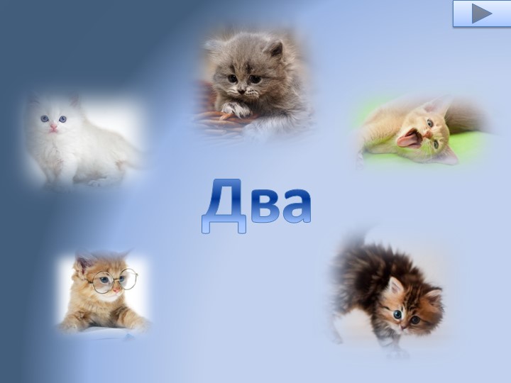Интерактивная игра- тренажер " Котята" старшая группа