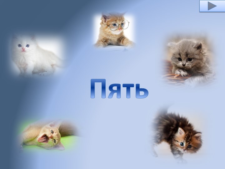 Интерактивная игра- тренажер " Котята" старшая группа