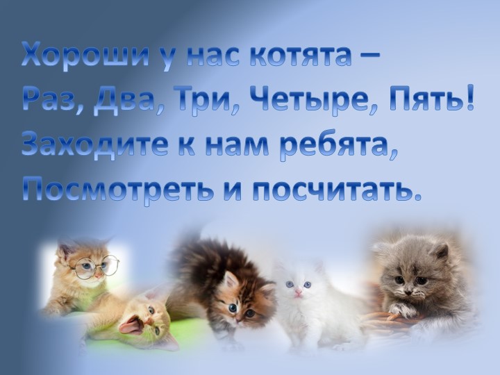 Интерактивная игра- тренажер " Котята" старшая группа