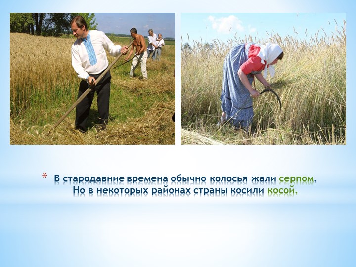 Презентация к ОД "Откуда хлеб пришёл"