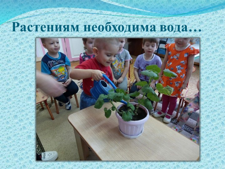 Презентация по экологическому воспитанию детей раннего возраста "Вода, ее значения и свойства"