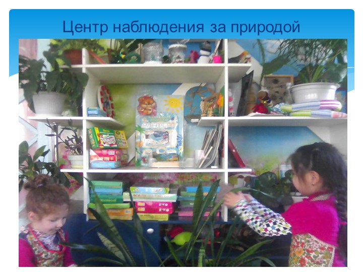 Презентация «Создание развивающей предметно-пространственной среды в соответствии с ФГОС