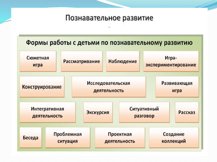 Презентация "Познавательное развитие детей по ФГОС и их основные направления."