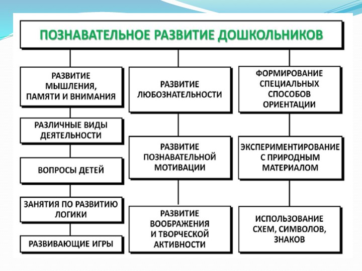 Презентация "Познавательное развитие детей по ФГОС и их основные направления."