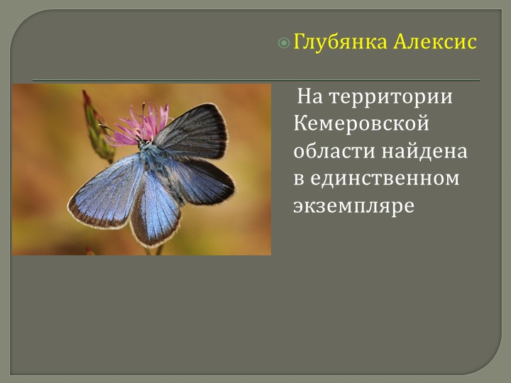 Презентация для дошкольников на тему: "Красная книга Кемеровской области"