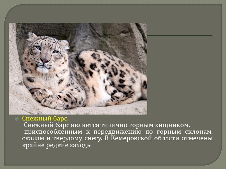 Презентация для дошкольников на тему: "Красная книга Кемеровской области"