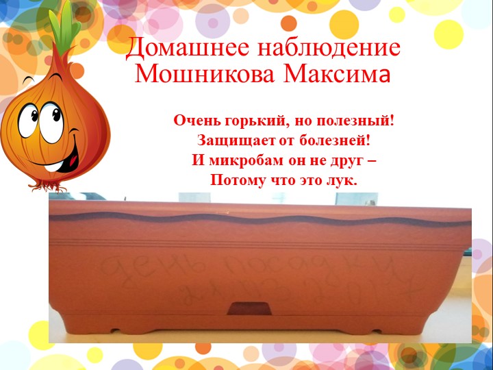 Презентация проекта "Веселый лучок" в 1 младшей группе