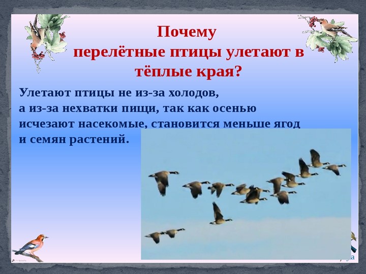 Презентация к занятию в подготовительной группы "Птицы Самарской области"