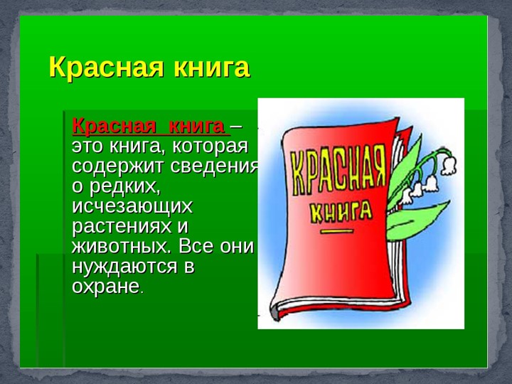 Презентация к занятию в подготовительной группы "Птицы Самарской области"