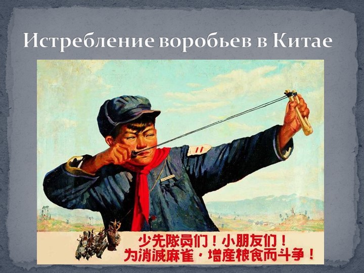 Презентация к занятию в подготовительной группы "Птицы Самарской области"
