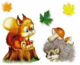 Picture 13