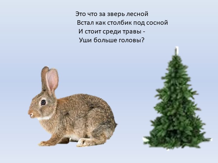 Презентация к занятию по формированию целостной картины мира "Лесные жители"