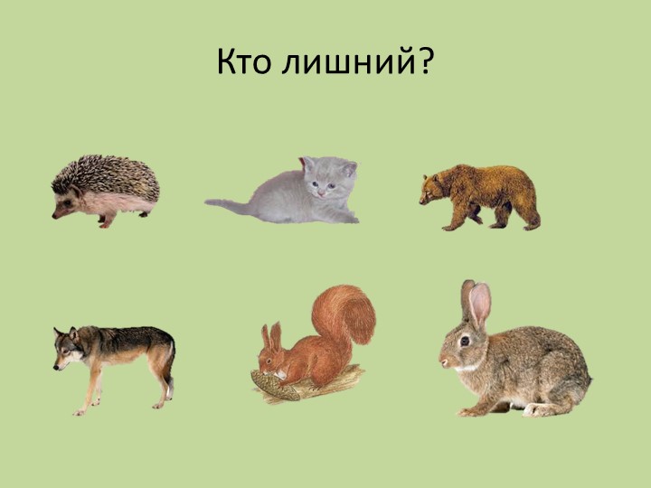 Презентация к занятию по формированию целостной картины мира "Лесные жители"