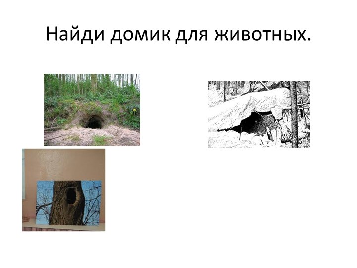 Презентация к занятию по формированию целостной картины мира "Лесные жители"