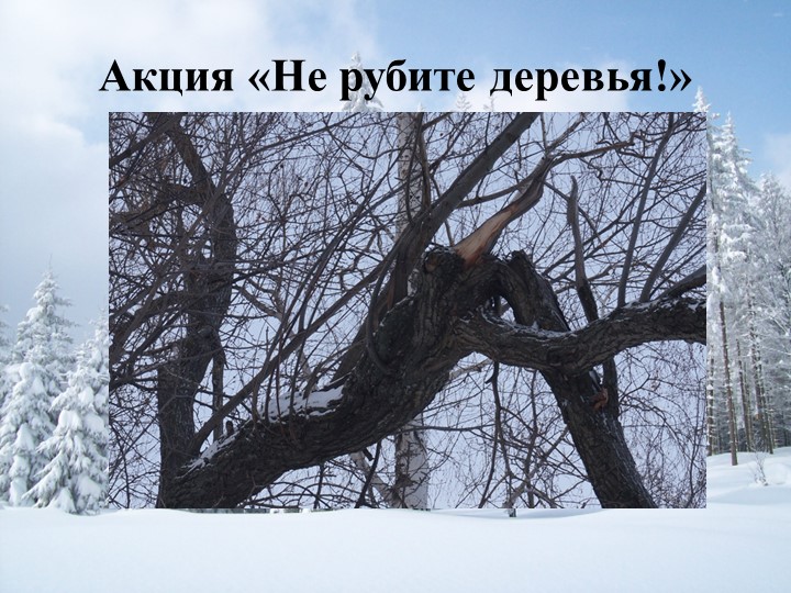 Презентация на тему: "Зимушка-зима"