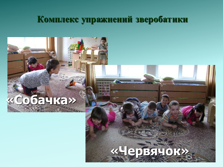 Зверобатика - как нетрадиционноe средство оздоровления детей старшего дошкольного возраста