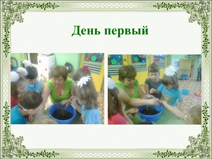 Презентация на тему "Огород на окне"