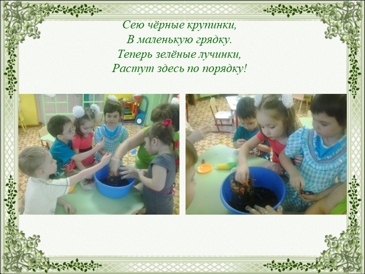 Презентация на тему "Огород на окне"