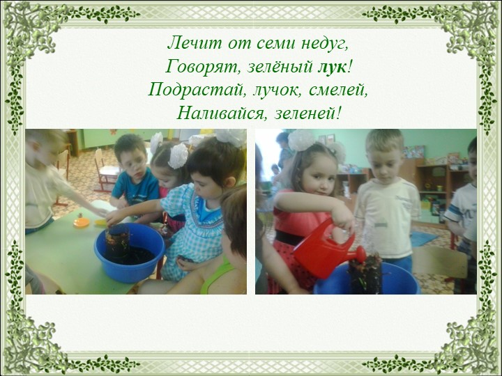 Презентация на тему "Огород на окне"