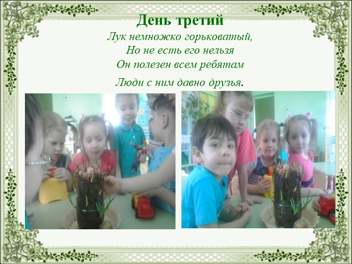 Презентация на тему "Огород на окне"