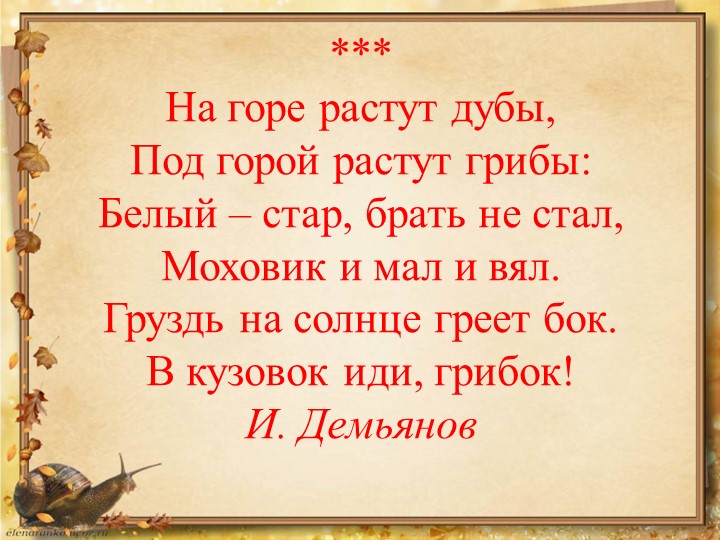 Презентация по окружающему миру на тему: "Грибное лукошко" (подготовительная группа)