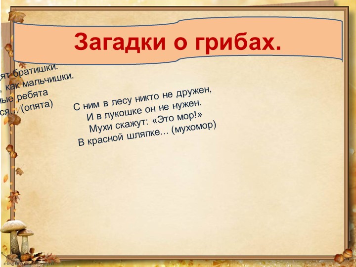 Презентация по окружающему миру на тему: "Грибное лукошко" (подготовительная группа)
