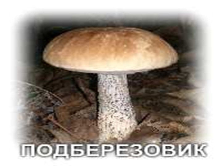 Презентация по окружающему миру на тему: "Грибное лукошко" (подготовительная группа)