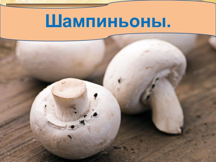 Презентация по окружающему миру на тему: "Грибное лукошко" (подготовительная группа)
